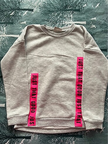 LC Waikiki sweatshirt