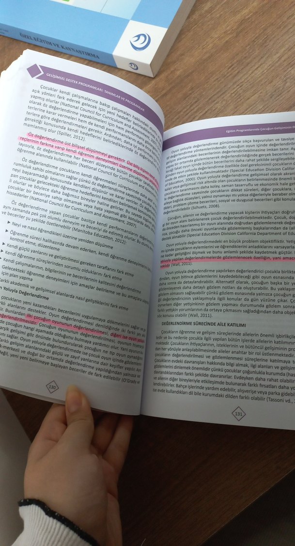 Gelişimsel Destek Programları Kitabı - Görsel 2