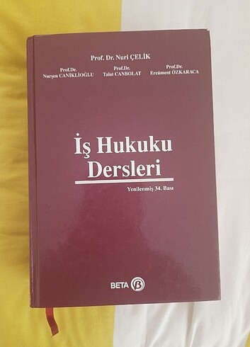 İş hukuku ders kitabı 