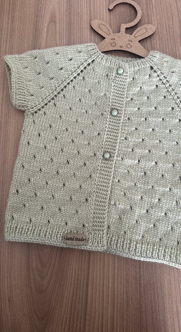 Mint  yeşili  Örgü beymen model yelek - Görsel 2