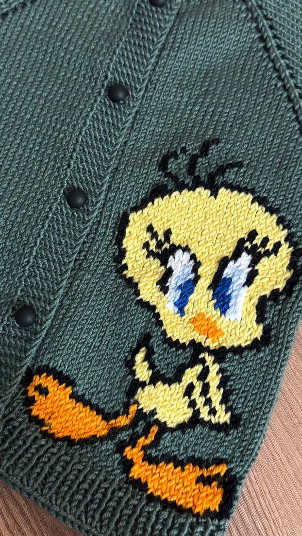 Yeşil unisex  tweety örgü yelek - Görsel 5