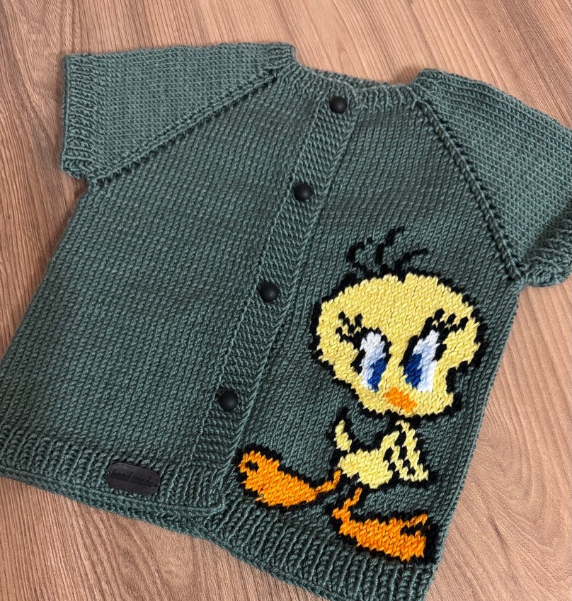 Yeşil unisex  tweety örgü yelek - Görsel 3
