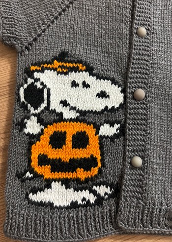 Erkek Çocuk Gri snopyy Örgü yelek - Görsel 4