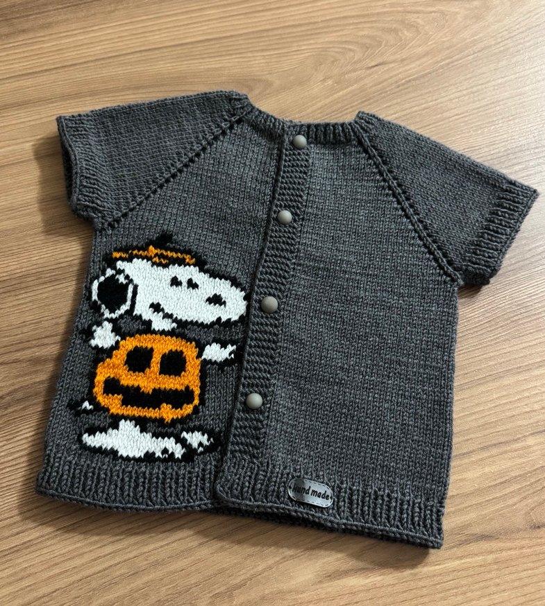 Erkek Çocuk Gri snopyy Örgü yelek - Görsel 5