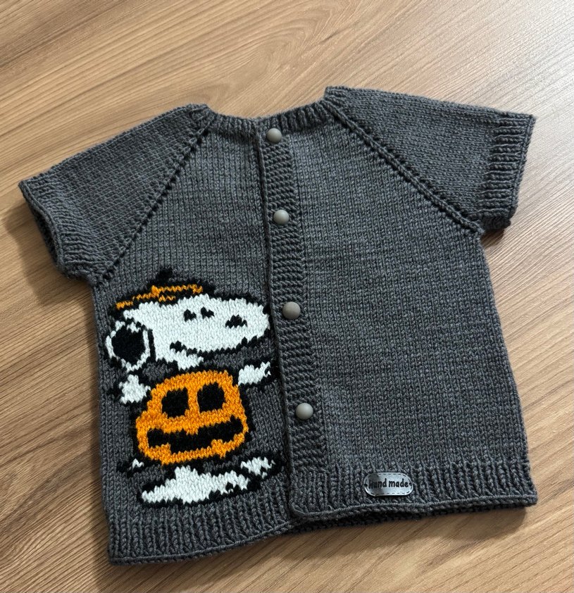 Erkek Çocuk Gri snopyy Örgü yelek - Görsel 2