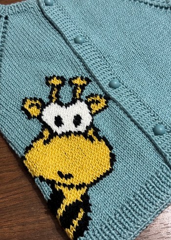 Erkek Çocuk Renkli Örgü Kısa Kollu Hırka - Görsel 4