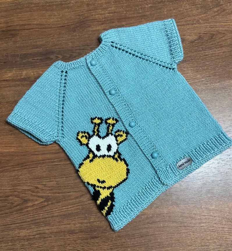 Erkek Çocuk Renkli Örgü Kısa Kollu Hırka - Görsel 2