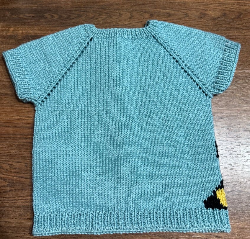 Erkek Çocuk Renkli Örgü Kısa Kollu Hırka - Görsel 3