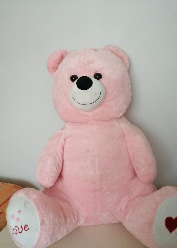 Dev ayıcık - Görsel 2