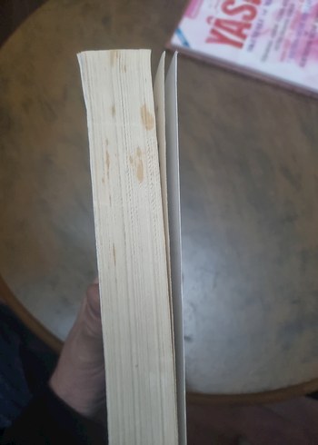 İnsan Kaynakları Yönetimi - Prof. Dr. Zeyyat Sabuncuoğlu - Görsel 3