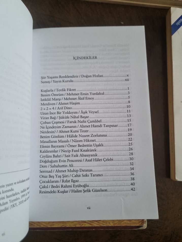 Şiir Dünyasına Yolculuk - Görsel 3