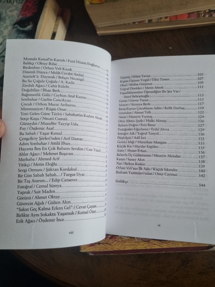 Şiir Dünyasına Yolculuk - Görsel 4