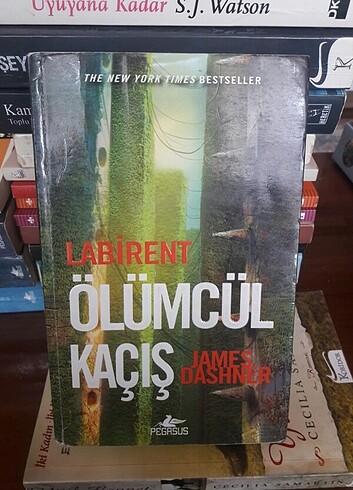 JAMES DASHNER (LABİRENT ÖLÜMCÜL KAÇIŞ)