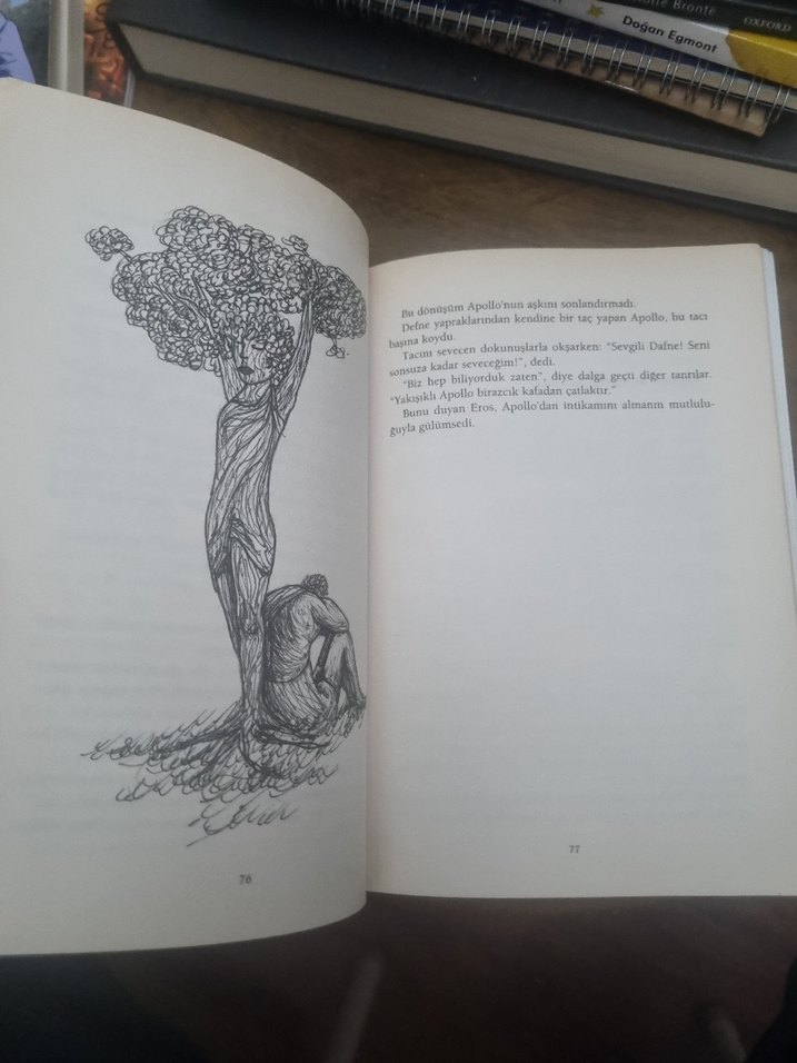 Bir Çocuğun Gözünden Yunan Mitleri - Orkan Sezer - Görsel 4