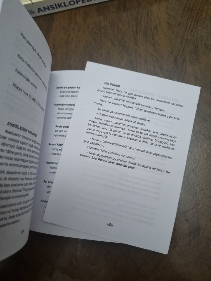 RÜŞTÜ AYDOĞAN (DEYİMLER VE ATASÖZLERİ SÖZLÜĞÜ) - Görsel 3