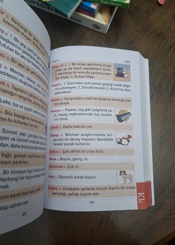 RESİMLİ TÜRKÇE SÖZLÜK - Görsel 3