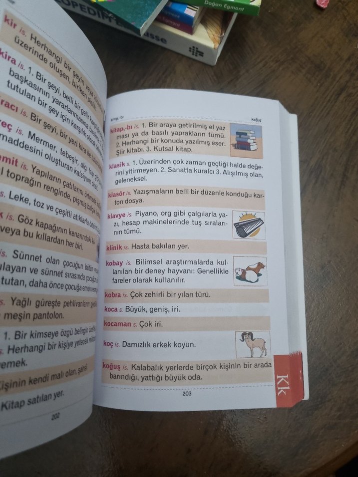 RESİMLİ TÜRKÇE SÖZLÜK - Görsel 3