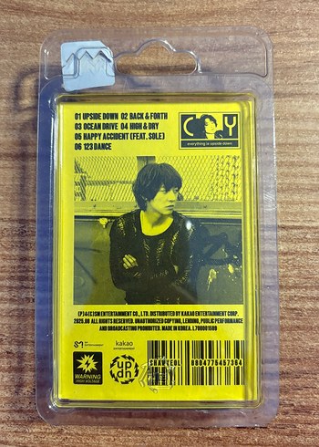 exo chanyeol upside down smini versiyon albüm - Görsel 2