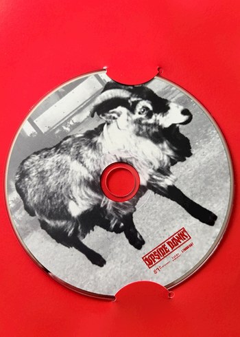 exo chanyeol upside down albüm ON versiyon - Görsel 4