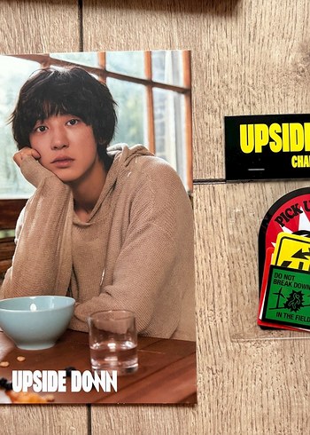 exo chanyeol upside down albüm OFF versiyon - Görsel 3