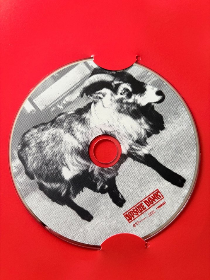 exo chanyeol upside down albüm ON versiyon - Görsel 4