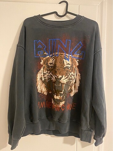 Anine bing sweatshirt