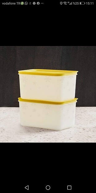Alaska 2?li Tupperware