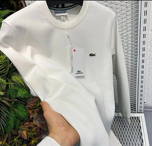 Lacoste sweatshirt