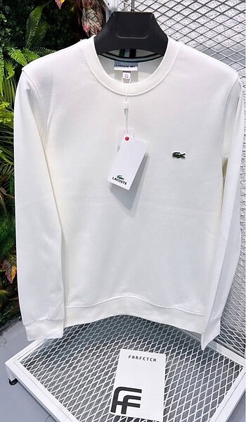 xxl Beden Lacoste sweatshirt