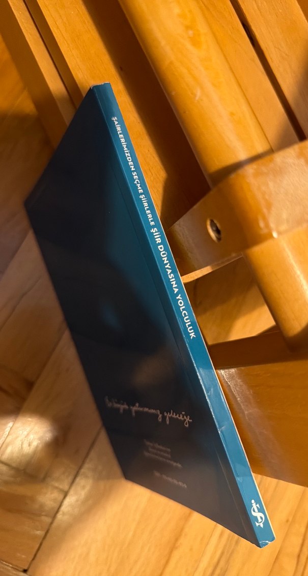 Şiir Dünyasına Yolculuk - Seçme Şiirler - Görsel 2