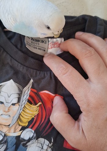 Mavi Baskılı Erkek çocuk Kısa Kollu tişort - Görsel 13