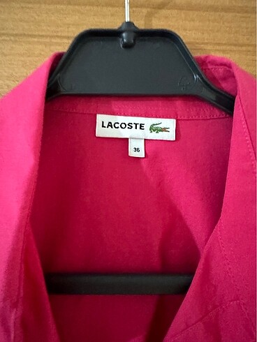 s Beden Lacoste gömlek nar çiçeği 36 Beden