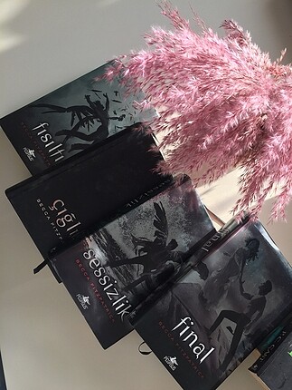 Hush hush serisi