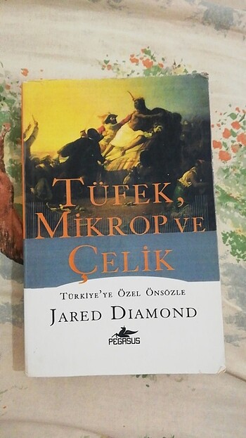 Kitap