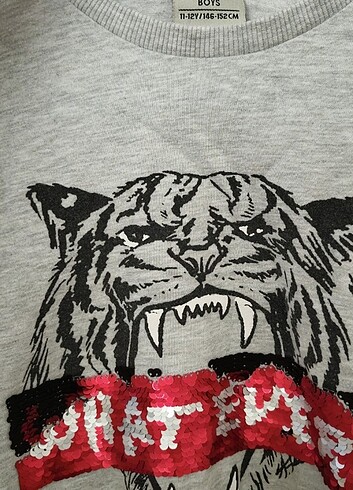 11-12 Yaş Beden Lc Waikiki erkek çocuk sweatshirt 11-12 yaş gri