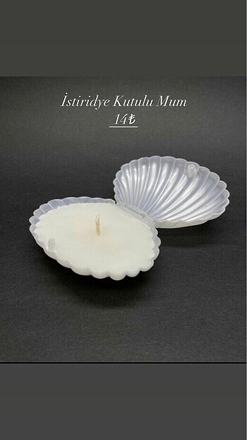 İstiridye kutulu Mum