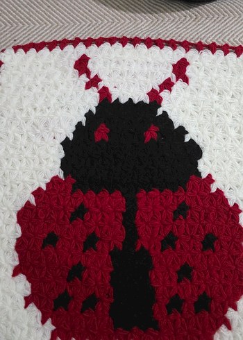 Uğur Böceği Lif - Görsel 2