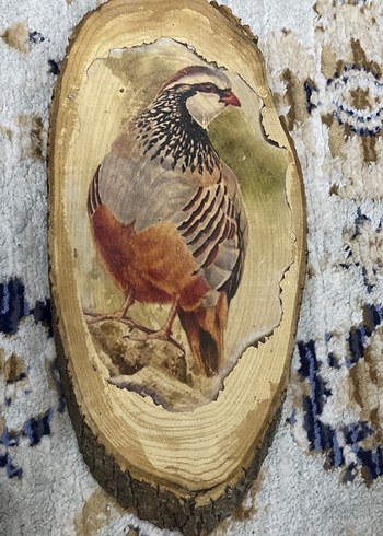 Kuş Figürlü Ahşap Oyuncak - Görsel 2