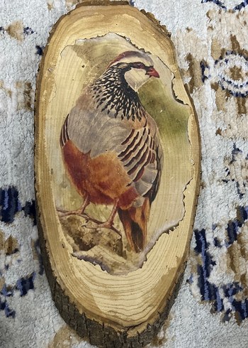 Kuş Figürlü Ahşap Oyuncak - Görsel 3