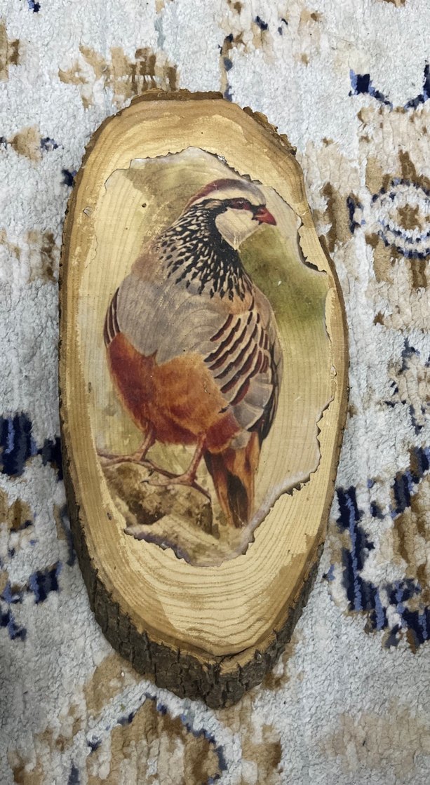 Kuş Figürlü Ahşap Oyuncak - Görsel 3