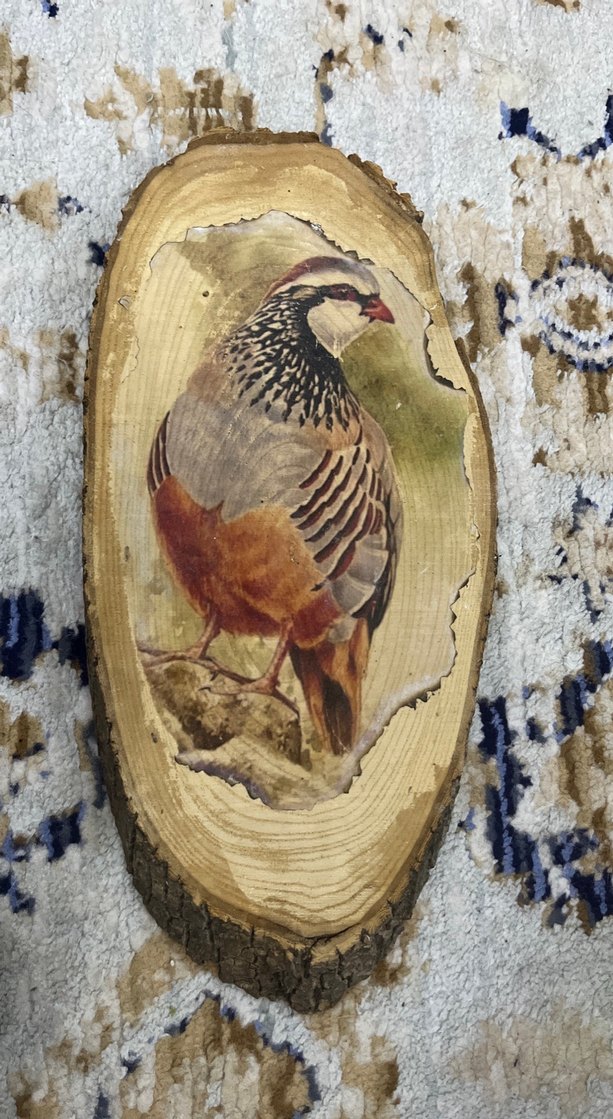 Kuş Figürlü Ahşap Oyuncak - Görsel 4