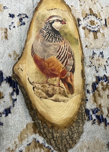 Kahverengi Ahşap Oyuncak Kuş Figürü - Görsel 3