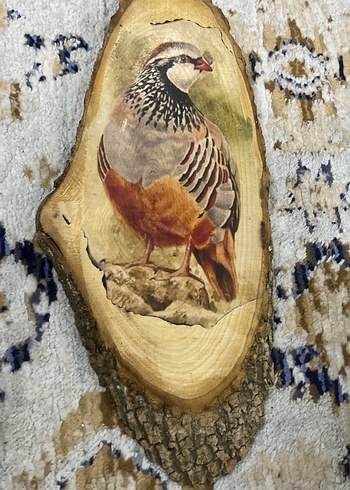 Kahverengi Ahşap Oyuncak Kuş Figürü - Görsel 4