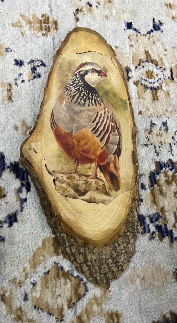 Kahverengi Ahşap Oyuncak Kuş Figürü - Görsel 3