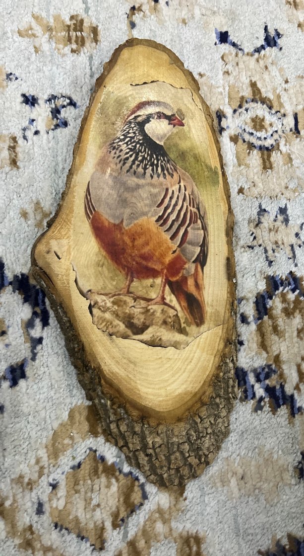 Kahverengi Ahşap Oyuncak Kuş Figürü - Görsel 4