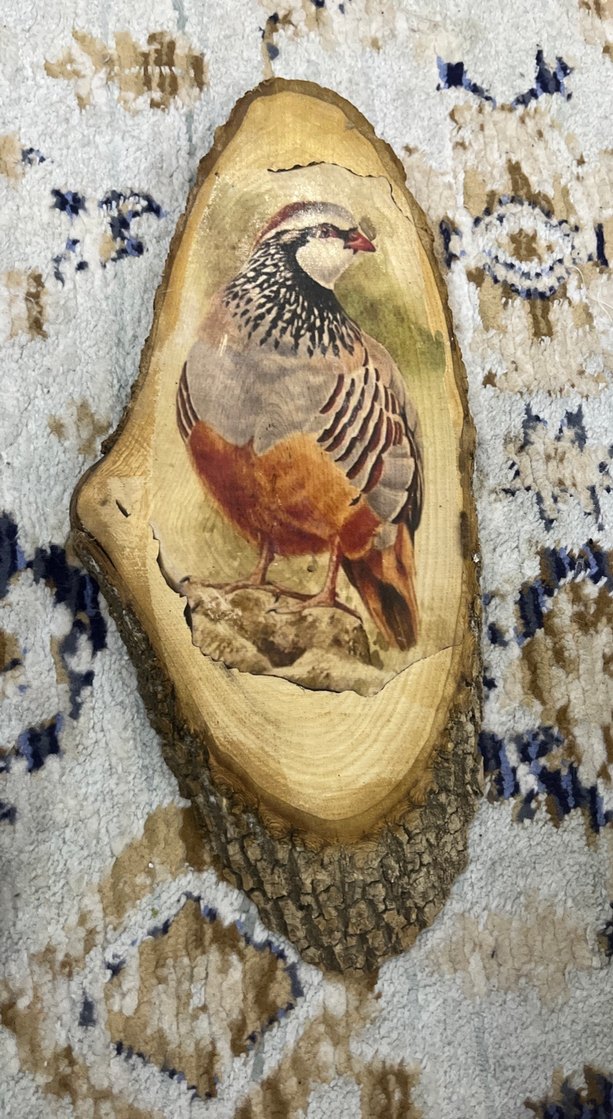 Kahverengi Ahşap Oyuncak Kuş Figürü - Görsel 2