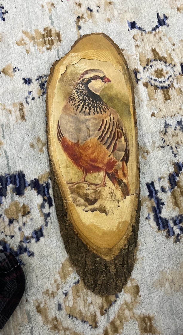 Kahverengi Kuş Figürlü Ahşap Dekor - Görsel 2