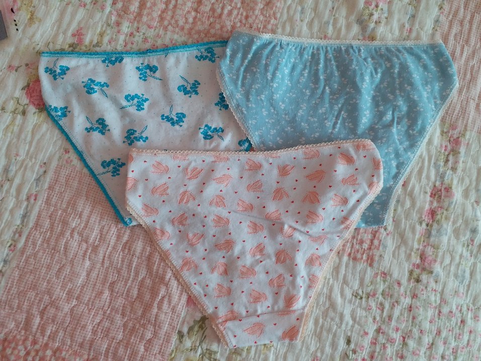 Minik Çiçek Desenli 3lü Külot Seti - Görsel 2