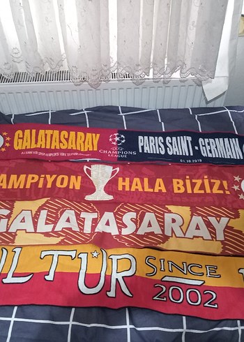 1 adet since kültür atkısı sadece