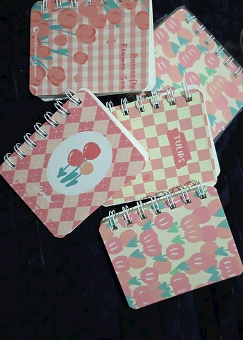 Pastel Pembe Mini Spiralli Defter Seti 10 adet.